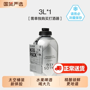 大九酿造精酿啤酒3L太空桶原装经典小麦生啤IPA聚会专用原浆果啤
