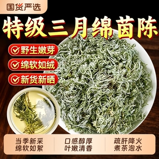 特级棉茵陈中药材正品官方旗舰店野生正宗白蒿五味子养生茶泡水喝