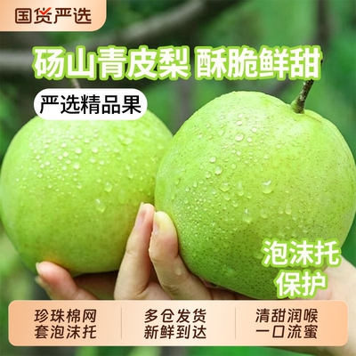 砀山梨新鲜水果砀山青梨当季翠冠梨香酥雪梨整箱包邮青皮梨现摘