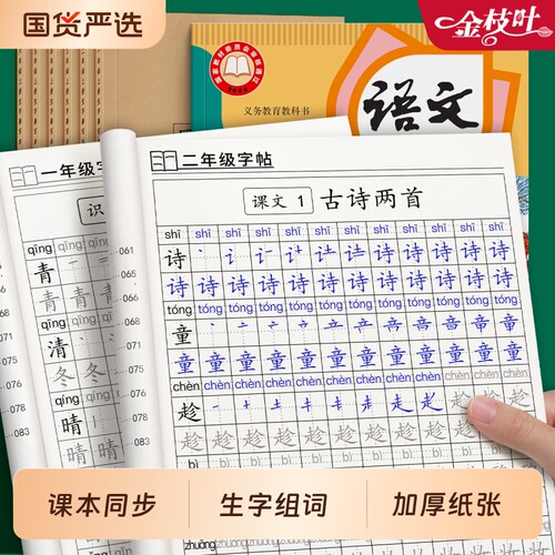 二年级语文上册练字帖同步人教版拼音生字字帖小学生每日一练笔画笔顺儿童暑假练习专用硬笔书法练字本写字帖楷书描红偏旁部首课本