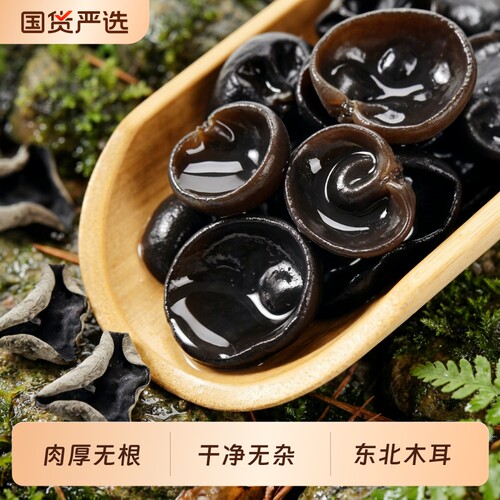 东北小碗秋木耳干货特产椴木黑木耳野生凉拌新货肉厚袋装精品新鲜