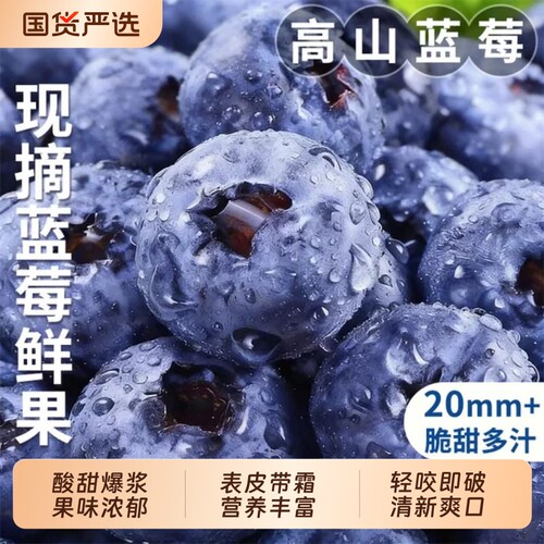 云南蓝莓鲜果新鲜水果当季现摘高山怡颗孕妇大果整箱顺丰包邮花香