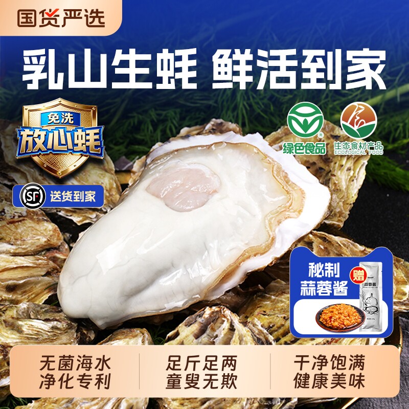 贝司令乳山鲜活生蚝净重5斤绿色品质食品海蛎子牡蛎新鲜高端海鲜