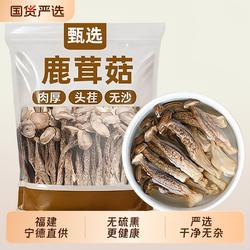 古田鹿茸菇干货非特级鹿茸菌食用菌香菇脆脆菇煲汤食材精选家用