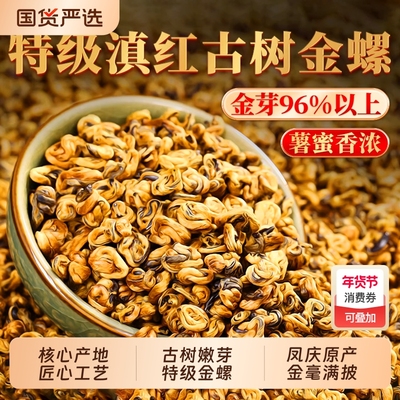 云南古树滇红金螺2025新茶特级浓香型养胃红茶罐装茶叶头采金芽