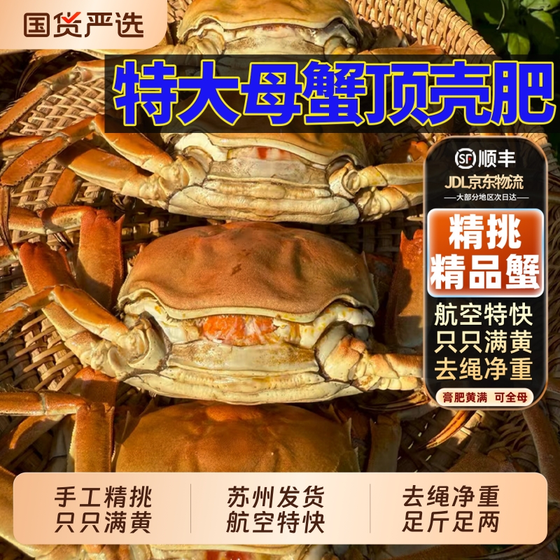大闸蟹【只只满黄满膏】阳澄后荡湖精品鲜活螃蟹全母公超特大5两