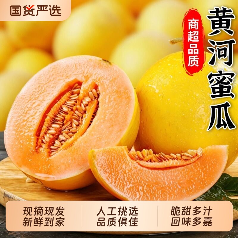 正宗黄河蜜瓜甜瓜新鲜水果应当季整箱包邮黄金脆香瓜哈密黄皮现摘