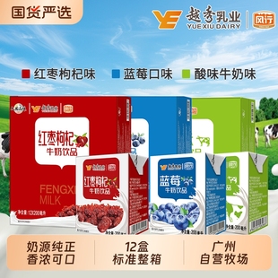 风行牛奶红枣枸杞/蓝莓味/牛奶饮品200ml*12盒儿童学生营养早餐奶
