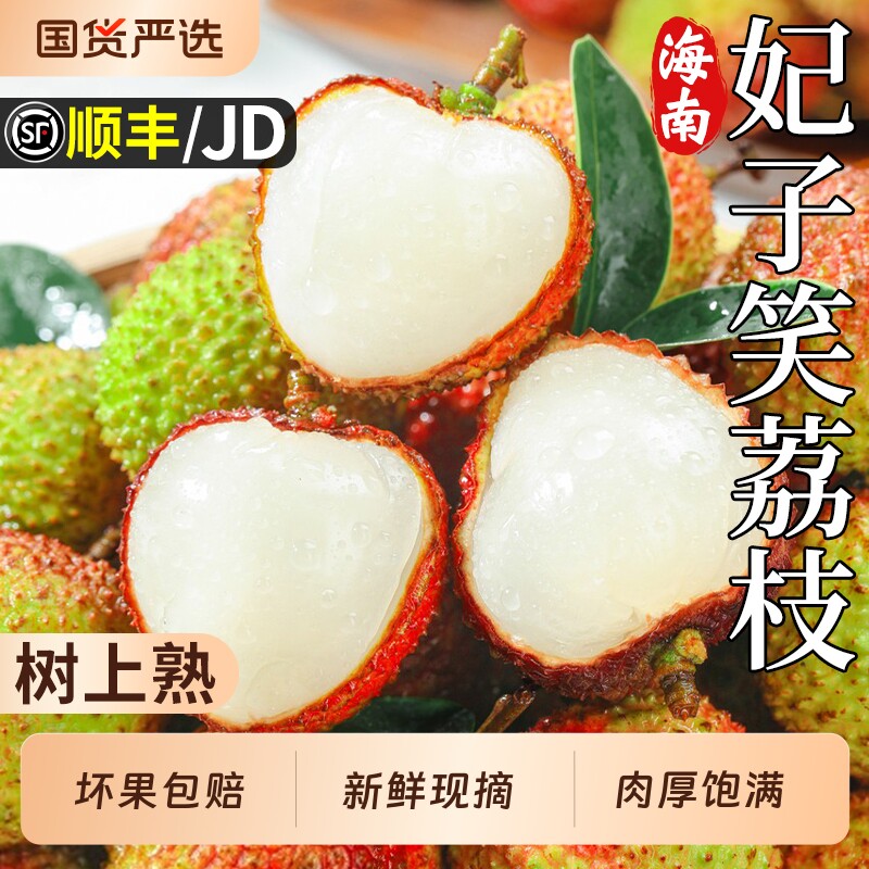 顺丰海南妃子笑荔枝新鲜水果特大果当季现摘桂花荔枝香老树包邮甜