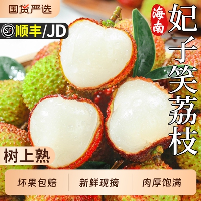 正宗海南妃子笑荔枝鲜果