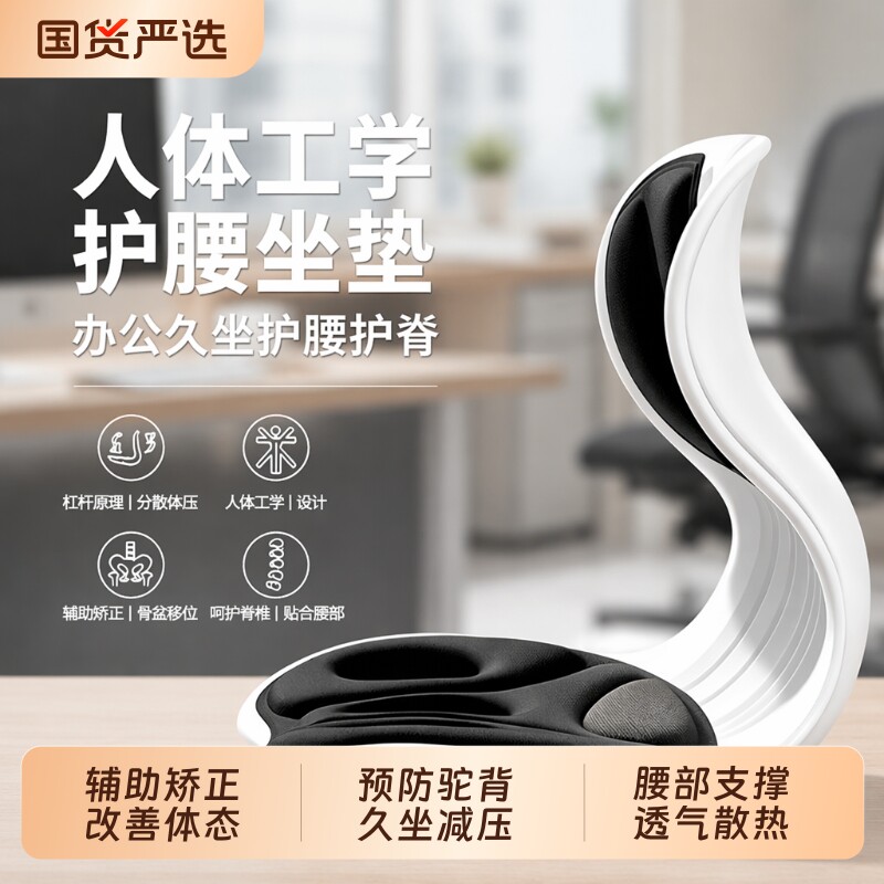 人体工学防驼背护腰坐垫高透气
