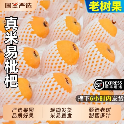 米易枇杷四川攀枝花正宗特产水果