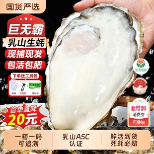 生蚝新鲜活海鲜特大带壳牡蛎5斤整箱刺身海蛎子肉烧烤商用批发
