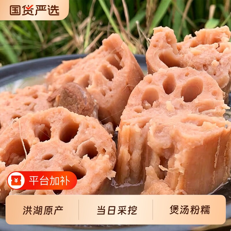 正宗湖北洪湖莲藕新鲜现挖九孔藕粉藕煲藕汤粉糯米藕2-5斤装美食