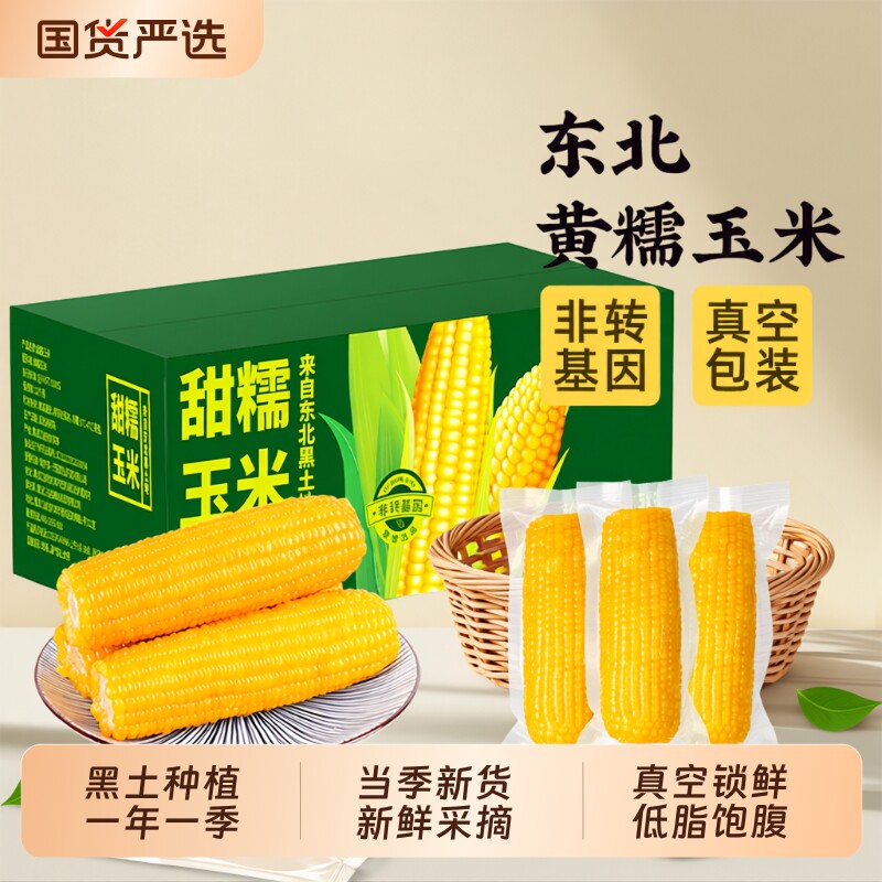 邹有才东北黄糯玉米当季新货新鲜采摘早餐主食代餐低脂饱腹真空装