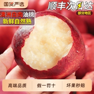 顺丰速达澳洲油桃进口桃子新鲜脆甜毛桃水蜜桃应当季水果整箱包邮