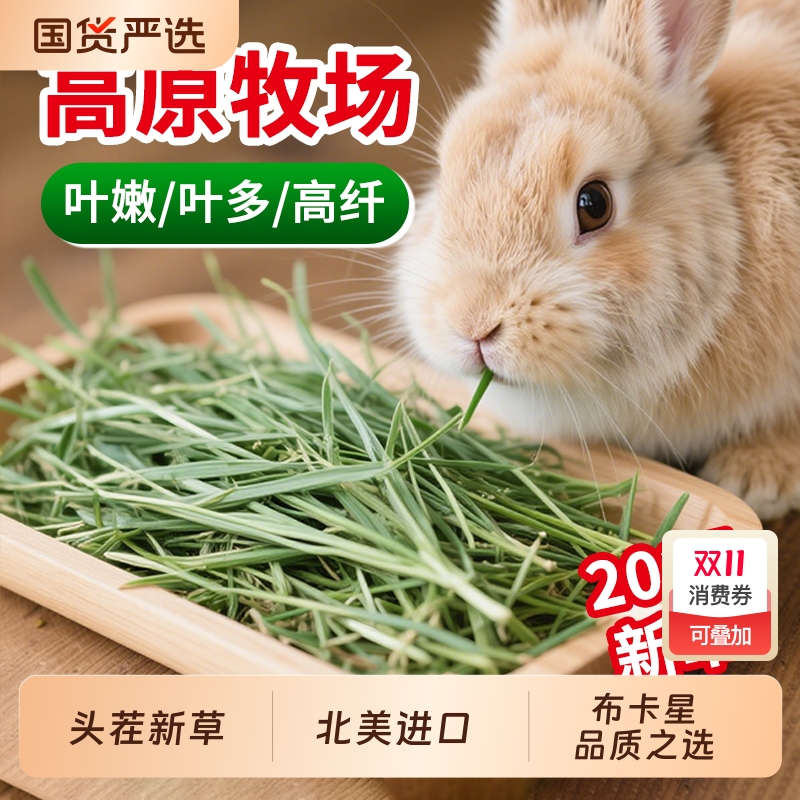 进口美国布卡星晒干提摩西草