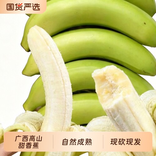 [催熟食用]正宗广西高山甜香蕉威尼斯绿皮软糯香甜自然熟新鲜水果