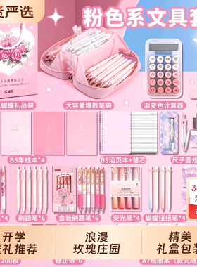2025ins风笔袋女孩生日礼物儿童文具套装女生小学生大礼包学习用品伴手礼盒紫色系豪华大容量粉色开学蓝色系