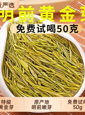 正宗黄金芽茶叶2026年新茶安吉