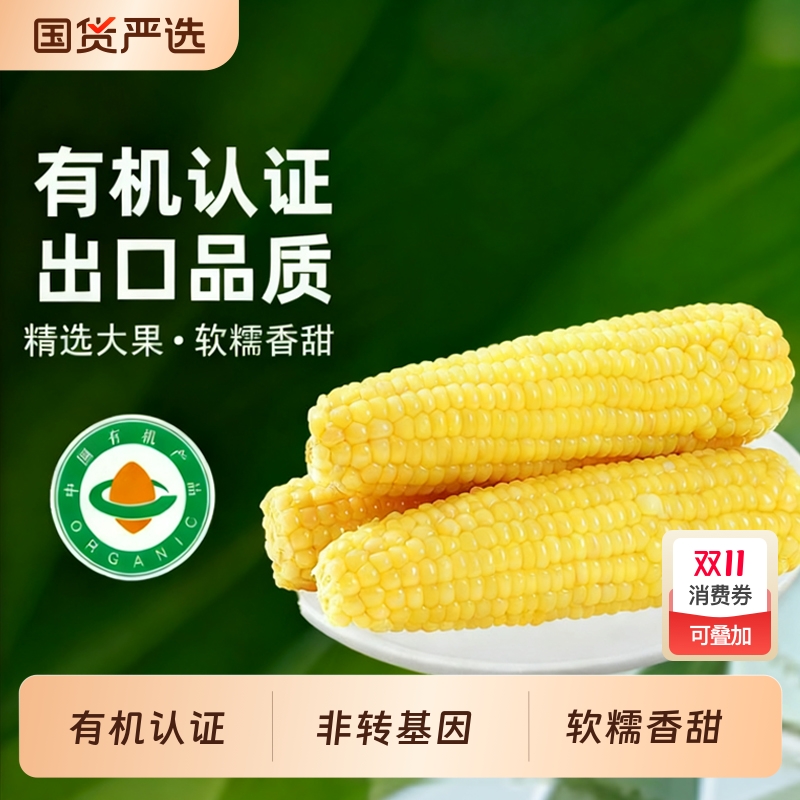 金沃瑞丰25年新采头茬真空包装袋粘糯有机甜糯玉米新鲜白糯玉米棒