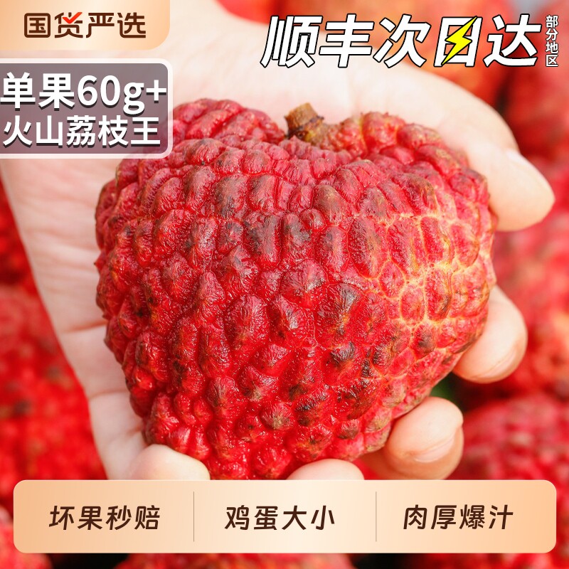 顺丰速发 5斤海南荔枝王当季早熟水果超大妃子火山笑荔枝整箱包邮