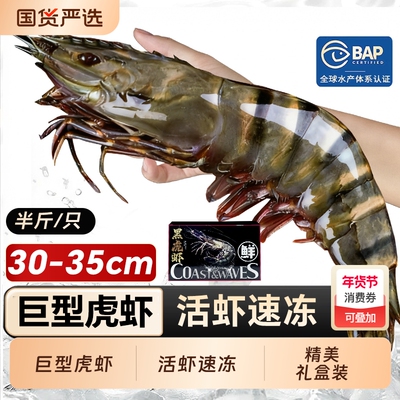 黑虎虾大虾新鲜超大鲜活速冻海鲜水产老虎虾特大基围虾竹斑九节虾