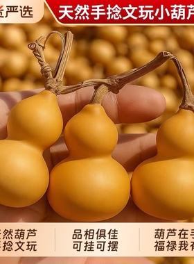 天然小葫芦文玩葫芦手把件带龙头