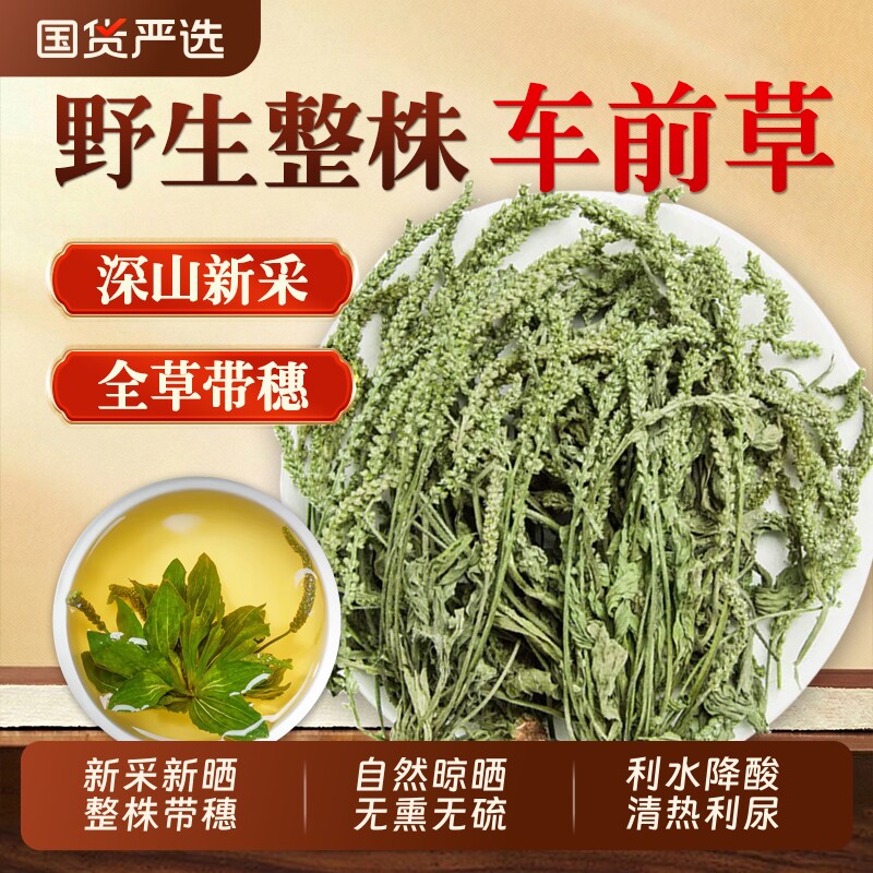 野生整株车前草泡水喝的功效与作用酸茶尿降袋泡茶干货官方旗舰店