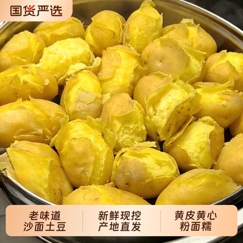 26年新鲜土豆甘肃定西黄皮黄心粉糯沙面马铃薯蔬菜洋芋9斤当季