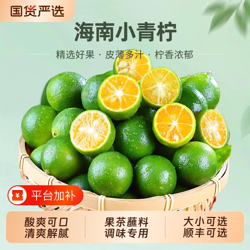 海南小金桔青桔新鲜青柠檬青柑皮薄应季当季水果柠檬金橘小青