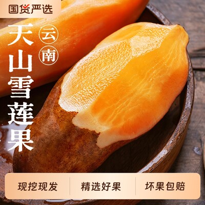 新鲜雪莲果整箱直发|136人收藏