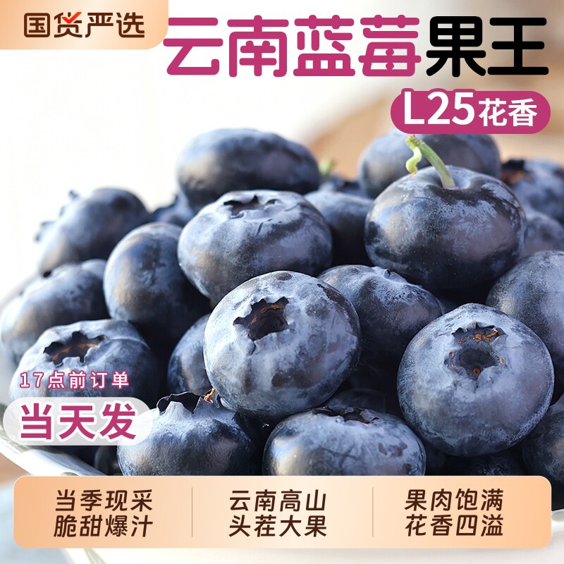 云南蓝莓新鲜水果鲜果特大当季蓝梅现摘L25花香高山整箱顺丰包邮 - 实物图