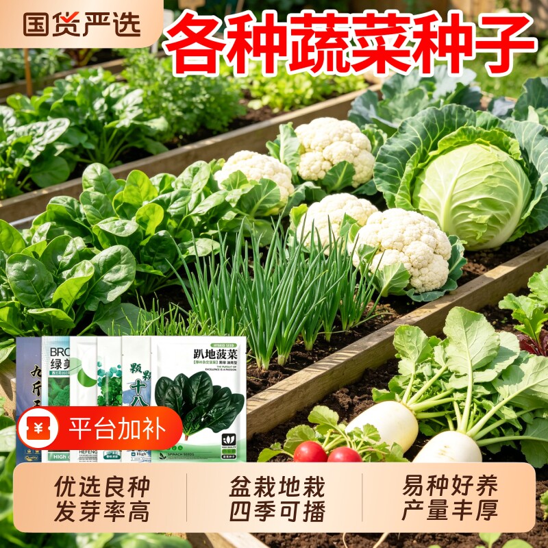 蔬菜种子大全四季播种阳台盆栽地栽好养高产白菜萝卜菠菜香菜小葱