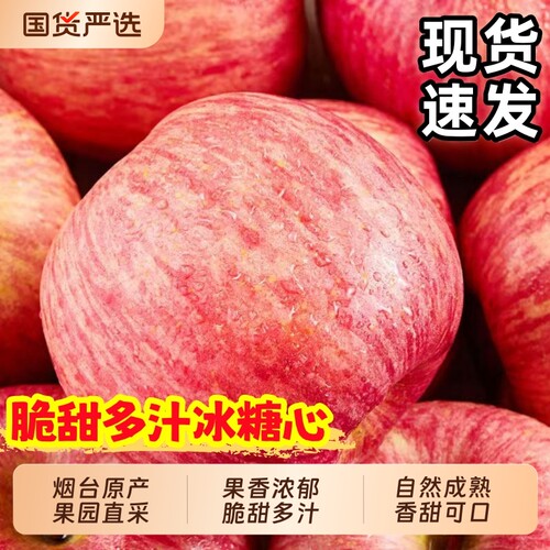 正宗烟台红富士苹果栖霞苹果脆甜多汁孕妇水果冰糖心苹果产地直发