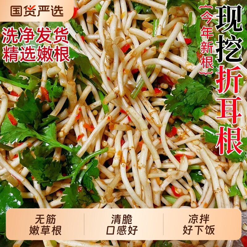 折耳根新鲜鱼腥草嫩根嫩芽节节根农家自种凉拌即食蔬菜包邮迷迭香