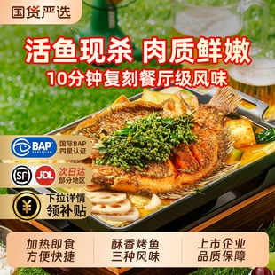 龙霸麻辣烤鱼半成品加热即食懒人菜预制菜蒜香藤椒罗非鱼美食冷冻