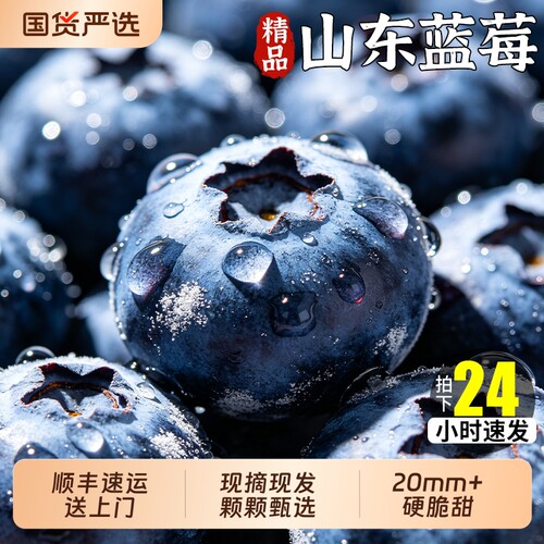 山东蓝莓新鲜水果鲜果L25花香高端当季怡颗高山孕妇整箱京东包邮