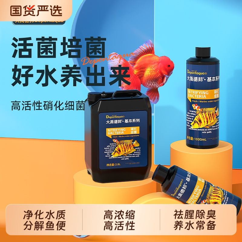 硝化细菌鱼缸用净化水质
