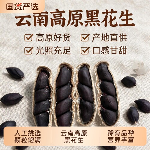 云南黑花生带壳黑皮花生农家自晒新货生吃紫皮富硒晒干原味