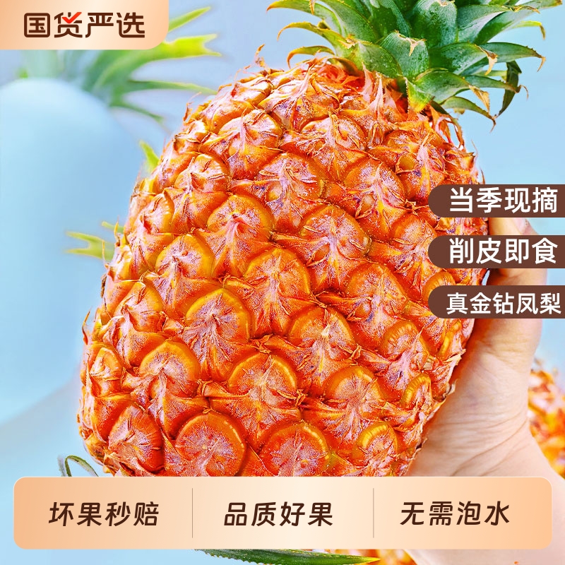新鲜采摘海南金钻凤梨冠町甄选