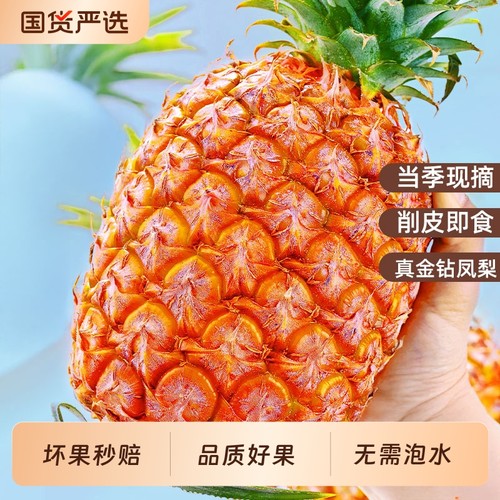 新鲜采摘海南金钻凤梨冠町甄选