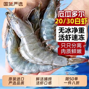 大虾鲜活速冻海虾厄瓜多尔白虾特大号基围虾海鲜生鲜水产冷冻无冰
