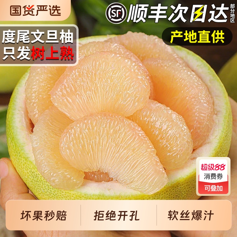 正宗福建度尾文旦柚20斤应当季新鲜水果青皮白心蜜柚整箱顺丰包邮