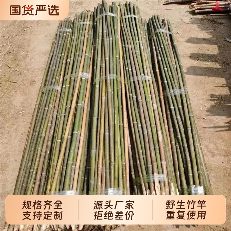竹竿菜园搭架竹子户外旗杆黄瓜豆角爬藤菜架竹杆支架搭架杆绿植图片
