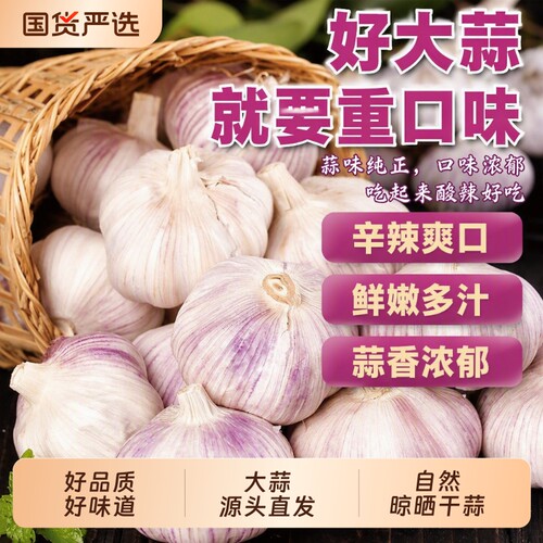 特大蒜干蒜紫皮蒜源头直发