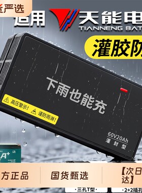 适配【天能电池】防水充电器