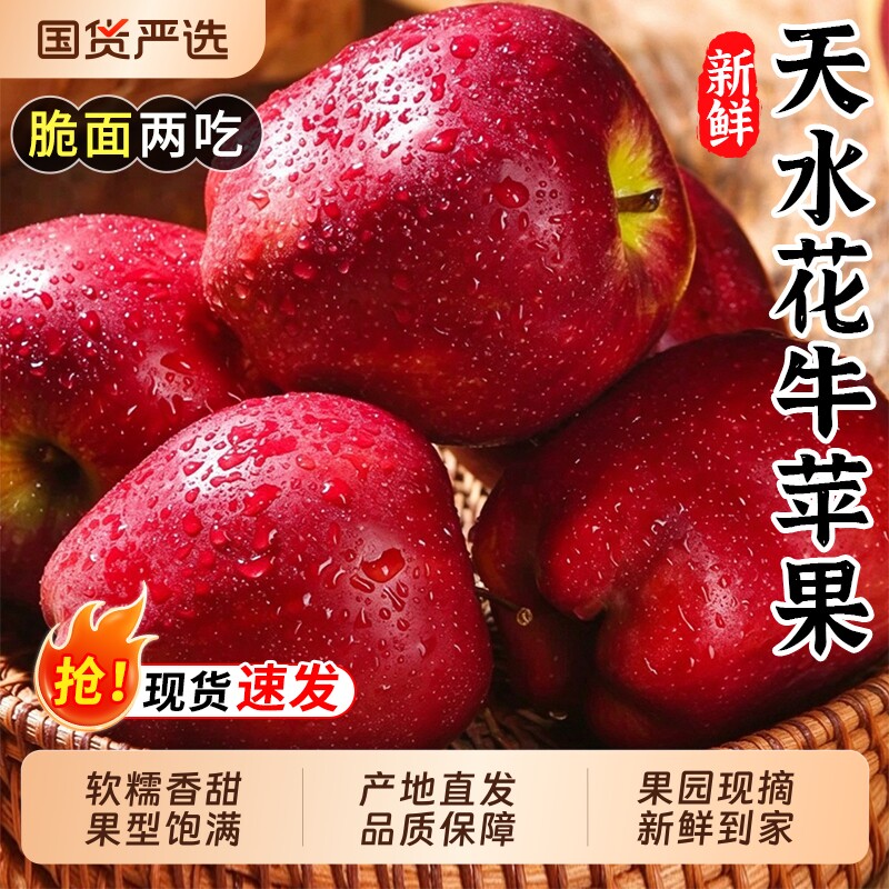 正宗甘肃天水花牛苹果新鲜现摘整箱包邮