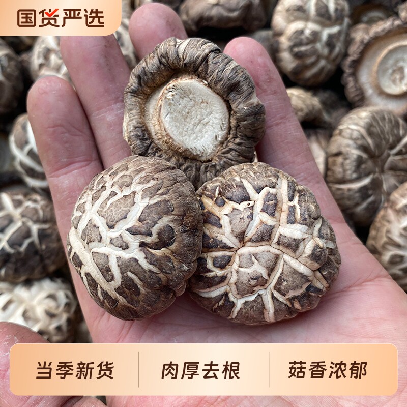 花菇香菇干货批发新鲜椴木煲汤农家精选非特级冬花茹营养菌菇蘑菇