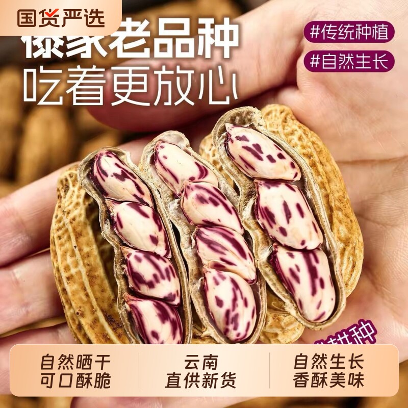 今年的2026年新花生优质精品七彩花生云南七彩花生自然晒干种子